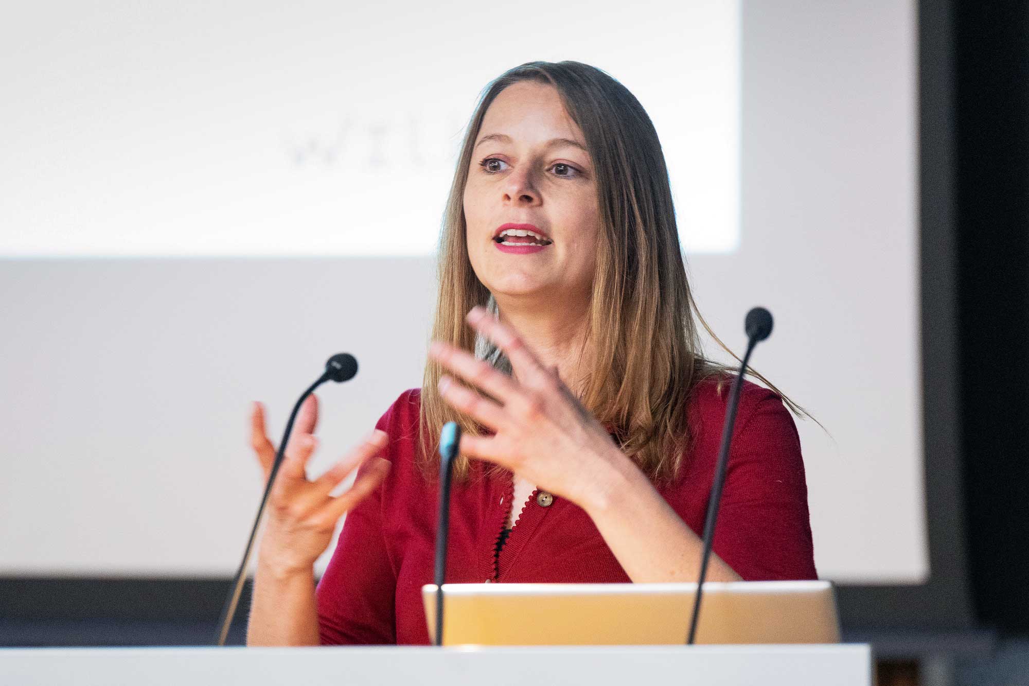 willers employee gives a presentation at a lectern
